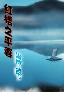 紅樓之平妻謀略