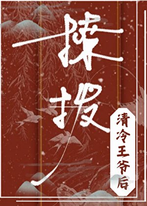 笨蛋王妃，却实在美极